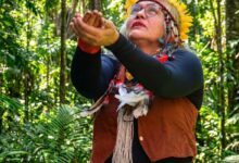 Museu Histórico da Cidade celebra saberes indígenas no Rio de Janeiro 