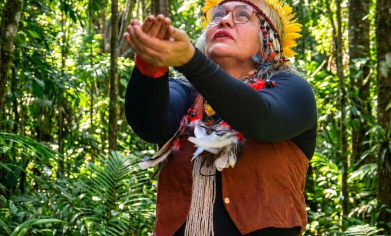 Museu Histórico da Cidade celebra saberes indígenas no Rio de Janeiro 