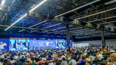 COP15 aprova maior proteção de bagres gigantes da Amazônia e ariranhas