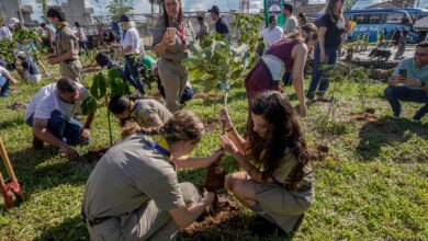 COP15 termina em Campo Grande com mais 40 espécies protegidas