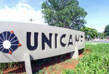 O que se sabe sobre o furto de material biológico da Unicamp?