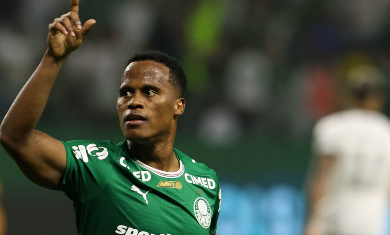 Palmeiras derrota Botafogo e assume liderança do Campeonato Brasileiro