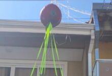 Defesa Civil paulista remove balão que caiu em casa em Carapicuíba