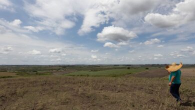 Fevereiro teve registro de seca mais branda em quatro regiões do país