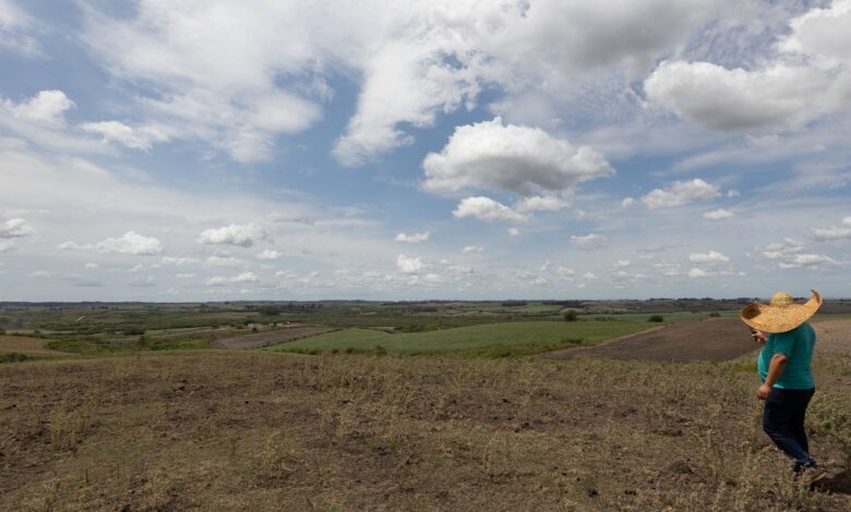 Fevereiro teve registro de seca mais branda em quatro regiões do país