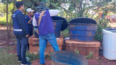 Chikungunya: entenda doença que preocupa Mato Grosso do Sul