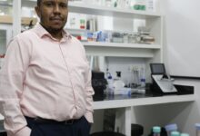 Cientistas brasileiros são premiados por pesquisas sobre Alzheimer