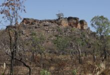 Pesquisa com IA identifica terras agrícolas abandonadas no Cerrado