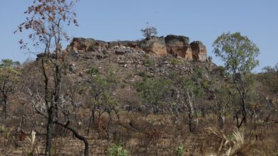 Pesquisa com IA identifica terras agrícolas abandonadas no Cerrado