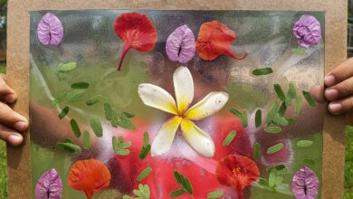 TEDxAmazônia 2026 será realizado pela 1ª vez fora do Brasil