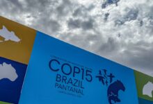 Cúpula de líderes orienta debates para COP15 em Campo Grande