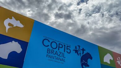 Cúpula de líderes orienta debates para COP15 em Campo Grande