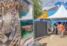 Brasil sedia encontro mundial sobre proteção das espécies migratórias