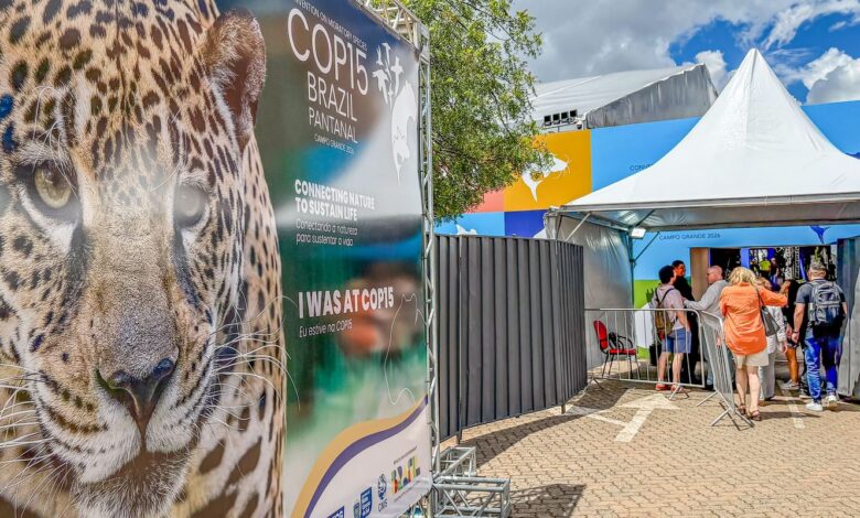 Brasil sedia encontro mundial sobre proteção das espécies migratórias