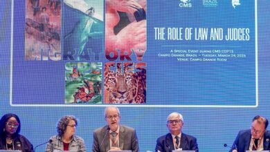 Bonito vai sediar a primeira vara ambiental com foco no Pantanal