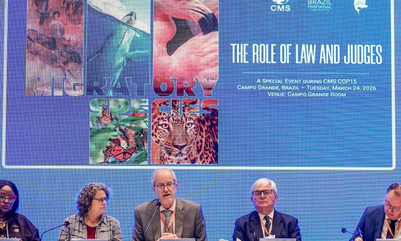 Bonito vai sediar a primeira vara ambiental com foco no Pantanal