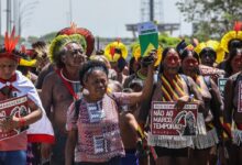 Organizações denunciam propostas legislativas com ameaças ambientais