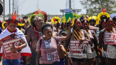 Organizações denunciam propostas legislativas com ameaças ambientais