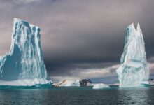 Programa Antártico Brasileiro alerta para degelo acelerado nos polos