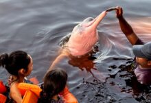 Insegurança é barreira para 62% das mulheres viajarem sozinhas