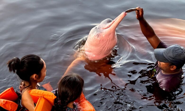 Insegurança é barreira para 62% das mulheres viajarem sozinhas
