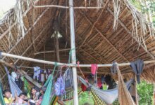 Povo Parakanã, do Pará, reocupa território após retirada de invasores 