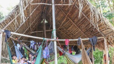 Povo Parakanã, do Pará, reocupa território após retirada de invasores 