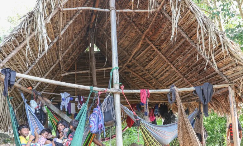 Povo Parakanã, do Pará, reocupa território após retirada de invasores 