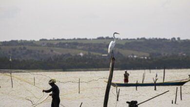 Sexto lote do seguro-defeso será disponibilizado na terça-feira