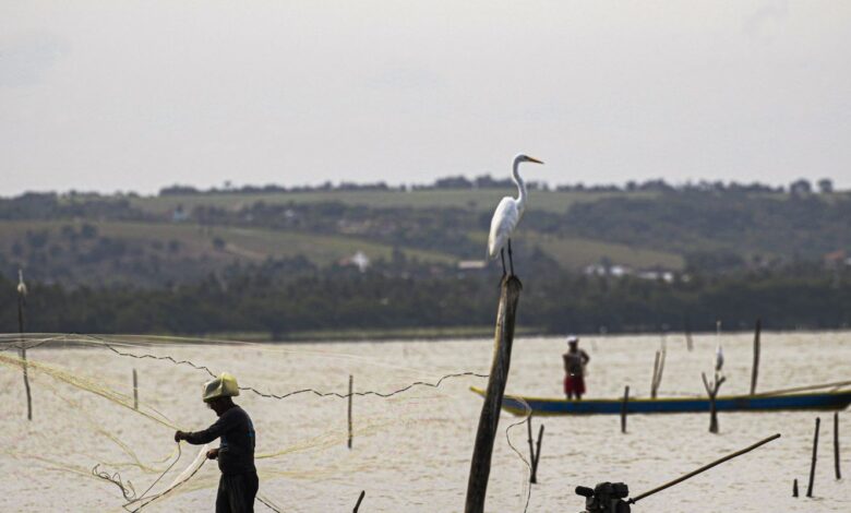 Sexto lote do seguro-defeso será disponibilizado na terça-feira