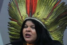 Sônia Guajajara apresenta melhoras, mas continua internada em SP