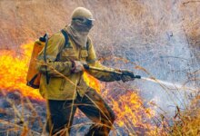 Governo divulga planejamento para enfrentar incêndios em 2026
