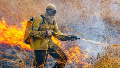 Governo divulga planejamento para enfrentar incêndios em 2026