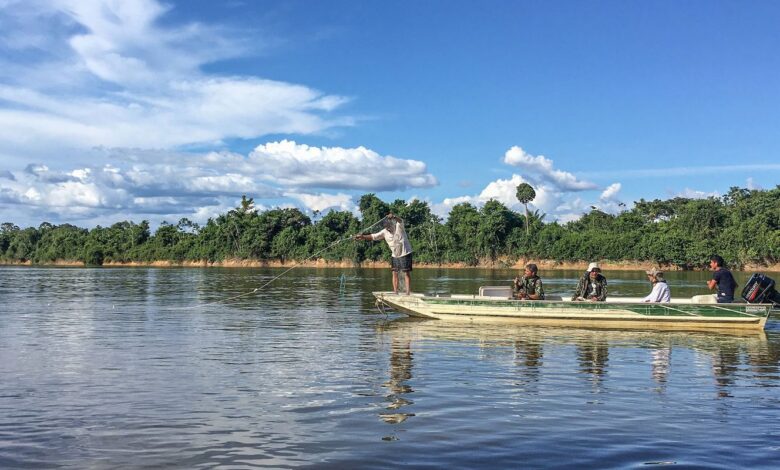 Peixes migratórios de água doce estão entre os mais ameaçados no mundo