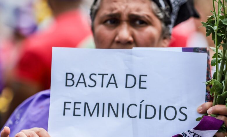 Relatório aponta média de 12 mulheres vítimas de violência por dia