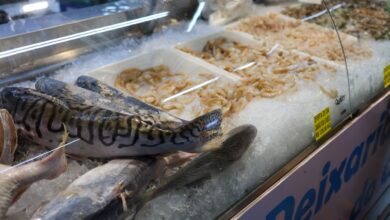 Vigilância Sanitária orienta sobre compra de pescado na Semana Santa