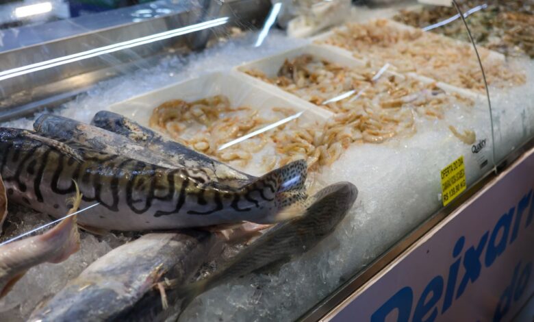 Vigilância Sanitária orienta sobre compra de pescado na Semana Santa