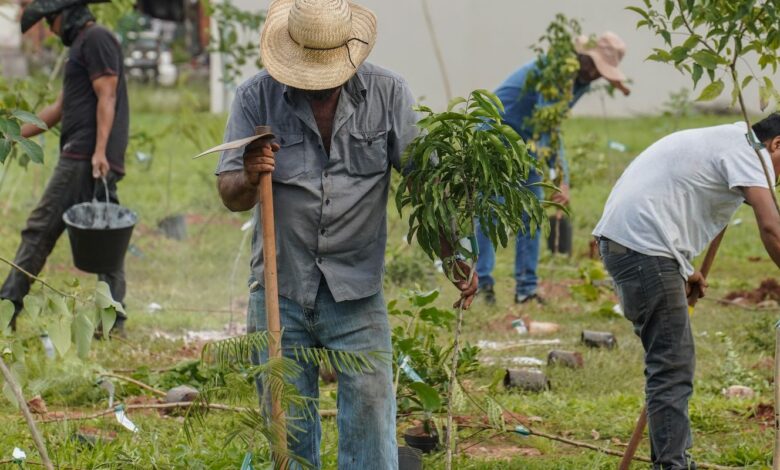 BB vai compensar emissões da COP15 no Brasil