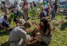 COP15 no Brasil promove conexão entre povos e territórios