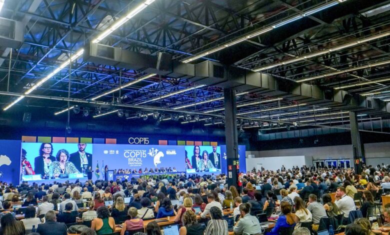 Diversidade marca cerimônia de abertura da COP15 em Campo Grande