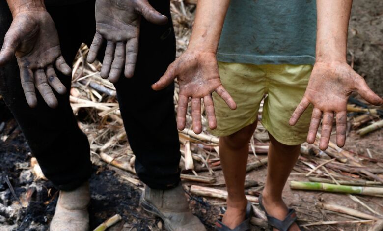 Famílias lutam para reconstruir a vida um mês depois de chuvas em MG