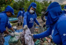 Comunidade transforma cenário ambiental da Baía de Guanabara