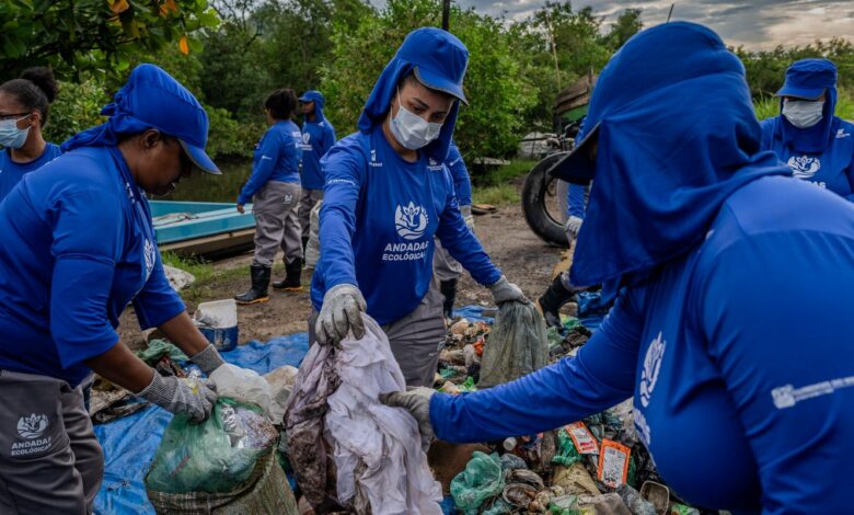 Comunidade transforma cenário ambiental da Baía de Guanabara