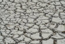 Estiagem: quinze cidades têm situação de emergência decretada