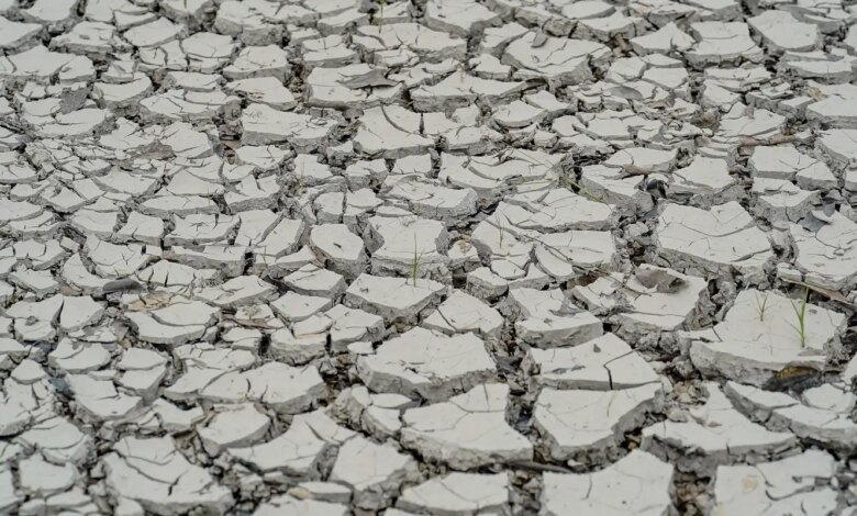 Estiagem: quinze cidades têm situação de emergência decretada