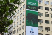 Rio lança painel para população acompanhar plantio de árvores