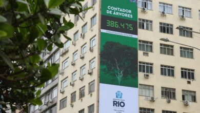 Rio lança painel para população acompanhar plantio de árvores
