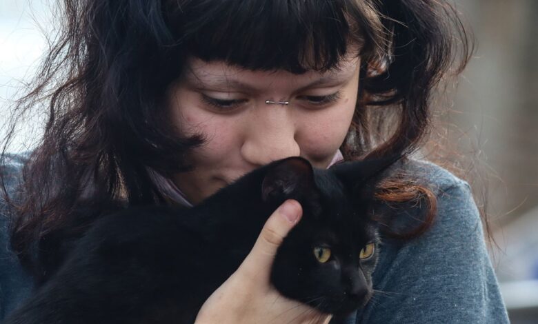 Programa da Prefeitura de SP faz castração gratuita de cães e gatos