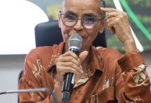 Em balanço, Marina destaca queda do desmatamento e maior fiscalização