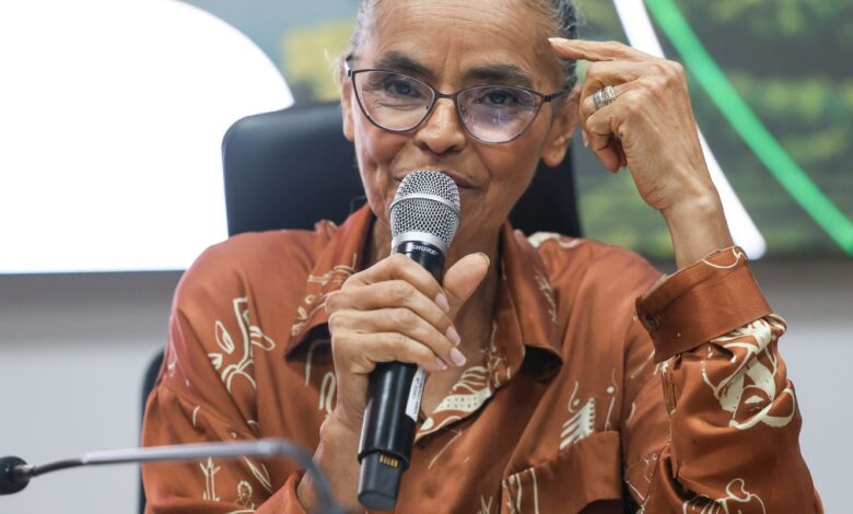 Em balanço, Marina destaca queda do desmatamento e maior fiscalização